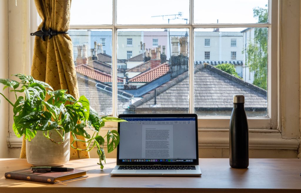 Laptop mit Zimmerpflanze vor einem Fenster
